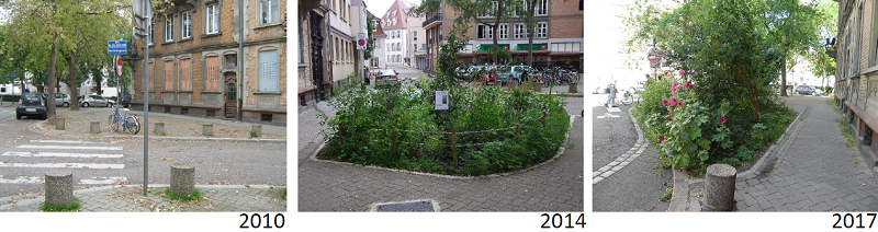 Evolution de la revégétalisation des rues à Strasbourg
