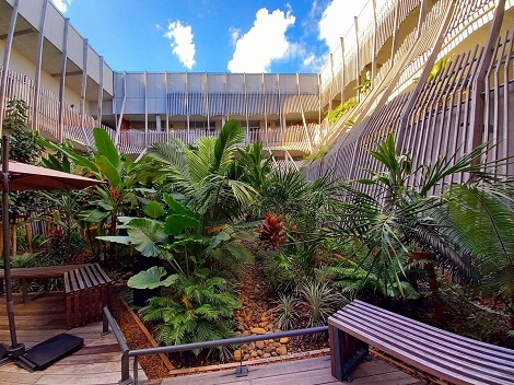 vue du patio avec une végétation tropicale et une petite terrasse en bois