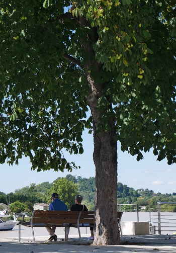 Personnes âgées sur un banc ombragé face à la rivière