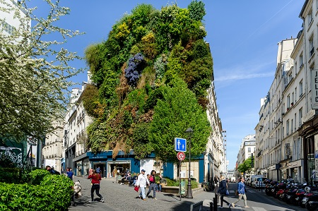 Mur végétal sur un immeuble à Paris