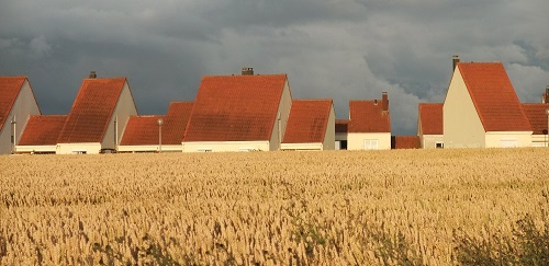 vue d'un champ avec des maisons derrière