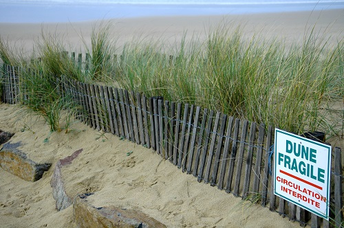 dunes fragiles en Bretagne