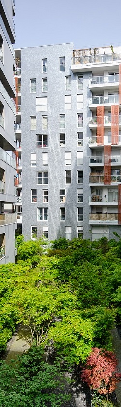 vue de verdure au milieu d'immeubles