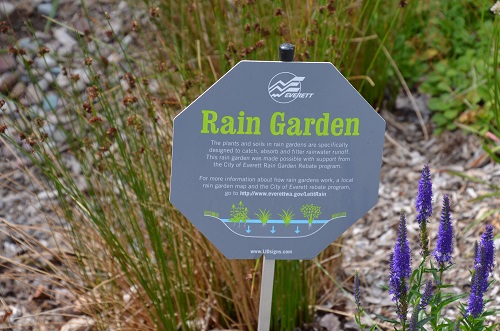 Panneau "rain garden"