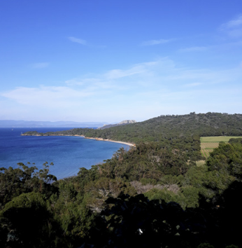 Paysage de l’île, plage et plaine agricole de la Courtade (source : Cerema)