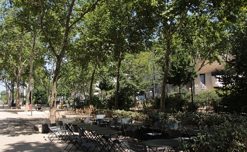 Arbres et terrasse de café rue Garibaldi à Lyon