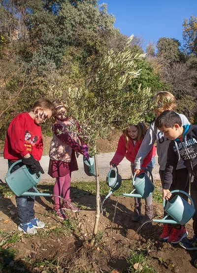 Planter un arbre dans le Luberon – Hervé Vincent