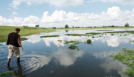 Site du polder marécageux