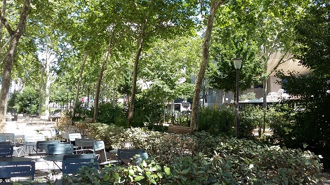 vue d'arbres et arbustes de la rue Garibaldi depuis une terrasse sur un des trottoirs