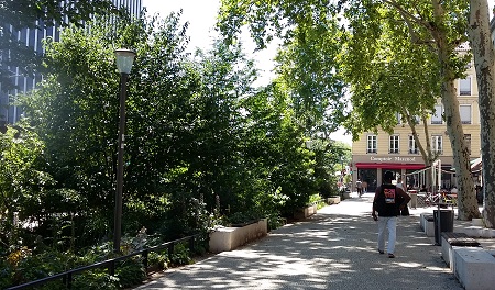 rue Garibaldi avec de la végétalisation à Lyon