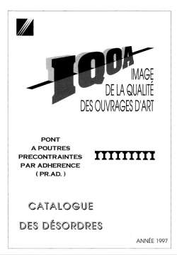 IQOA : tablier du pont à poutres précontraintes par adhérence (PRAD) - Catalogue des désordres