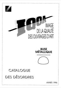 IQOA : buse métallique - Catalogue des désordres