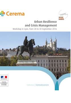 Urban resilience and crisis management