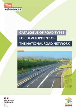 Catalogue of road types for development of the national road network