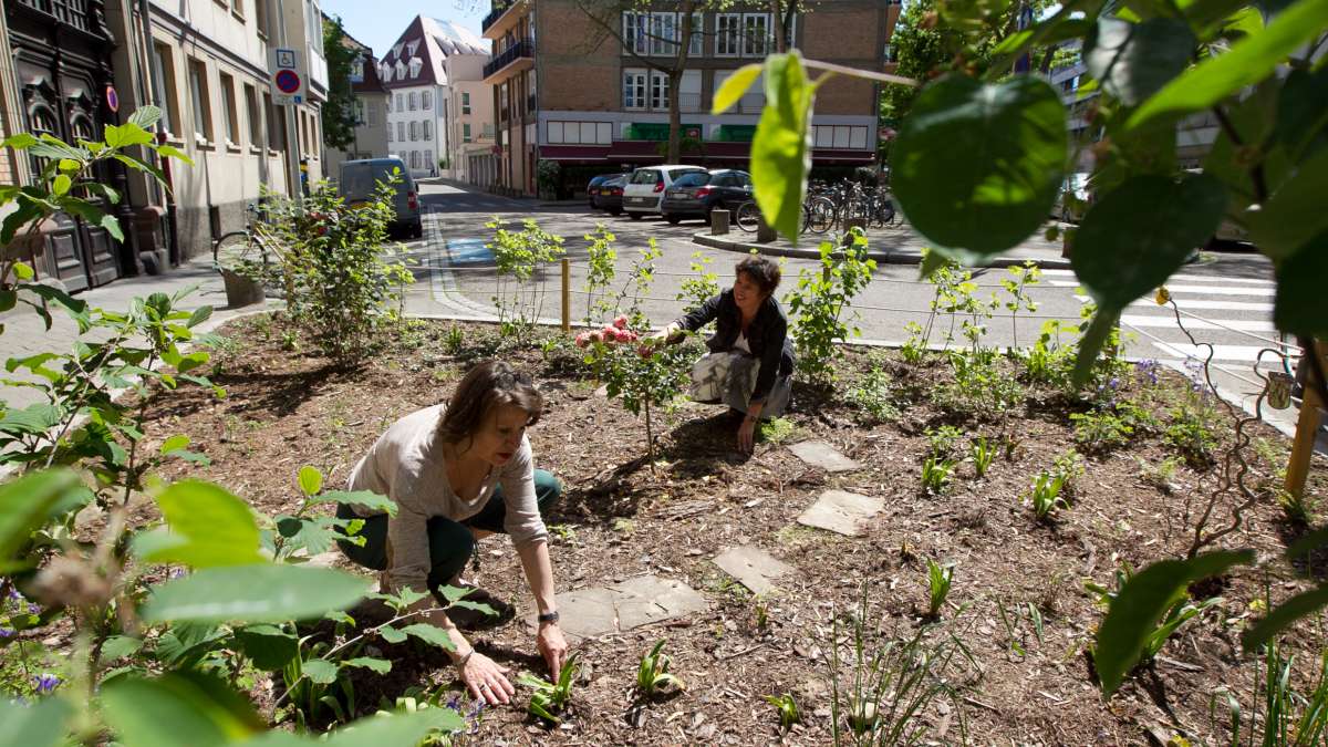 Citoyens s'occupant d'un espace de jardin en ville