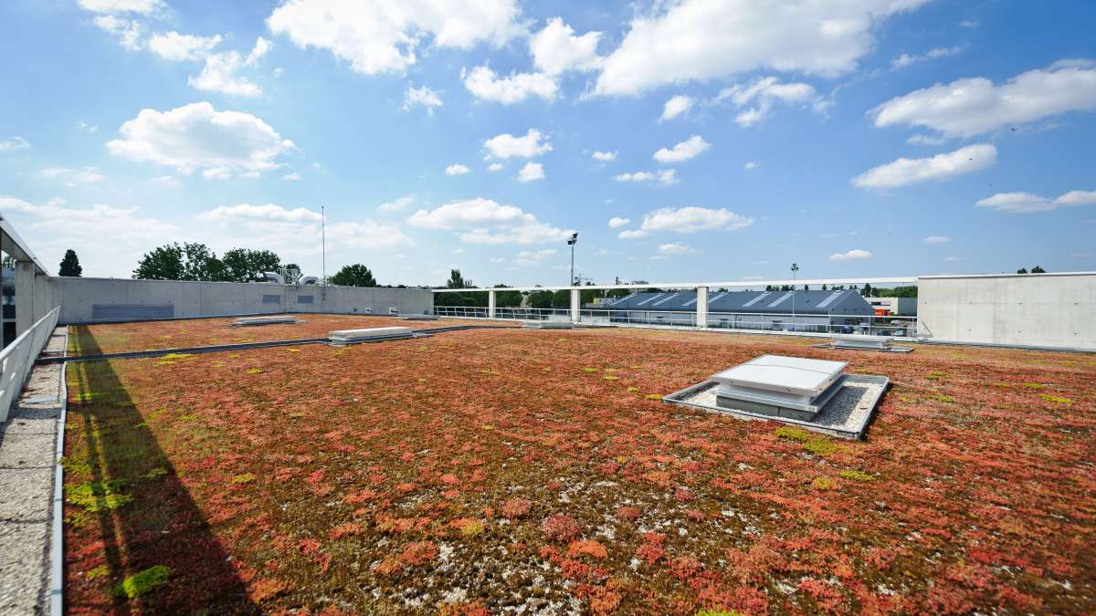  Terrasse végétalisée sur toiture de l’usine de L’Hay permettant de récupérer une partie de l’eau de pluie