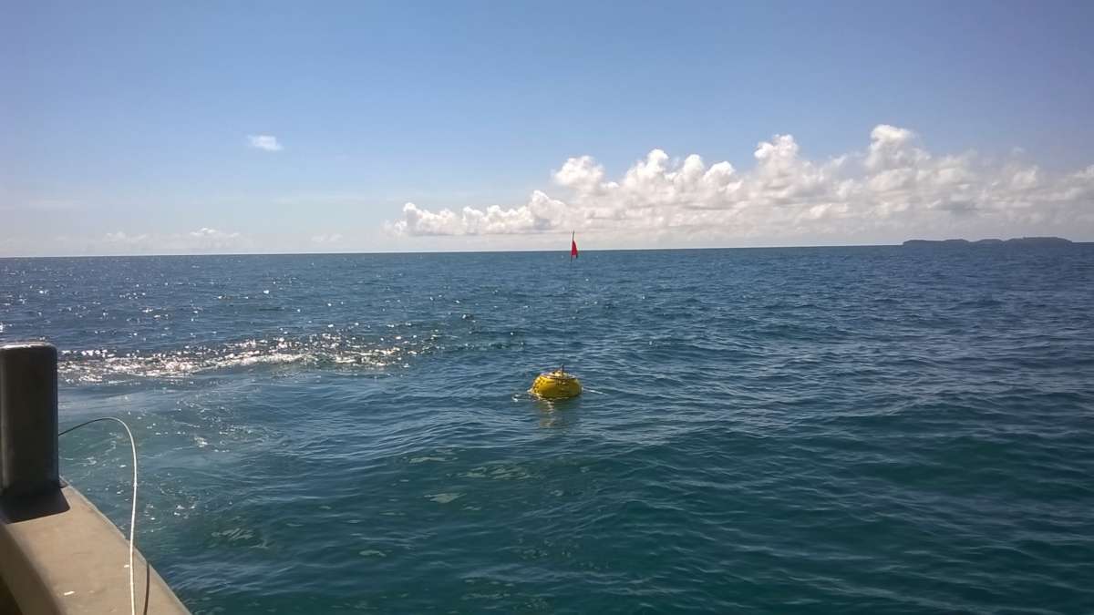 houlographe flottant sur l'océan