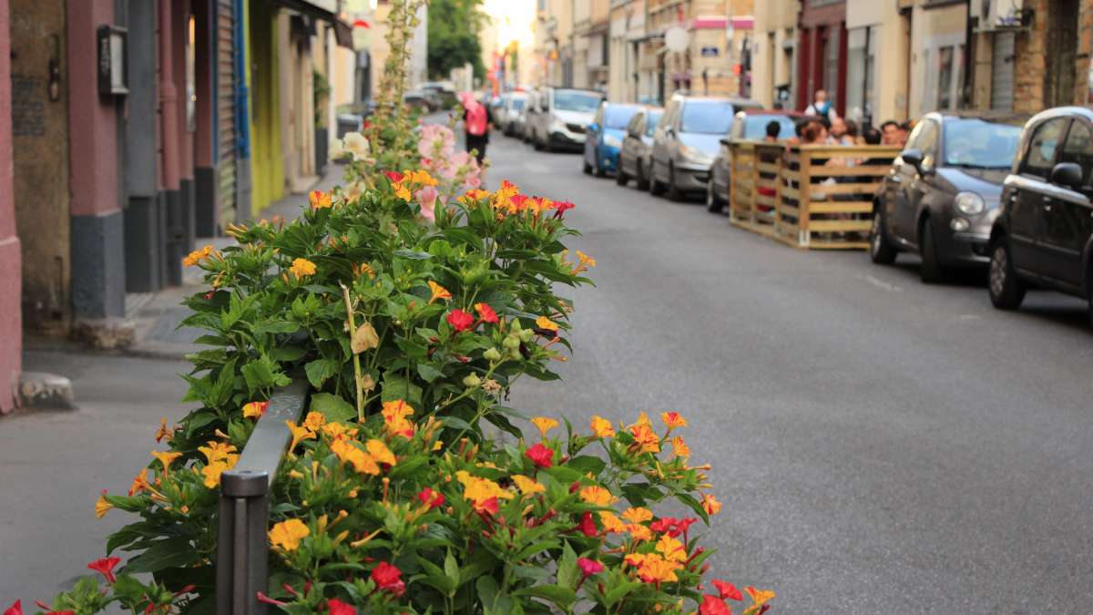 Fleurs qui poussent sur un trottoir, avec une terrasse temporaire aménagée en bord de rue