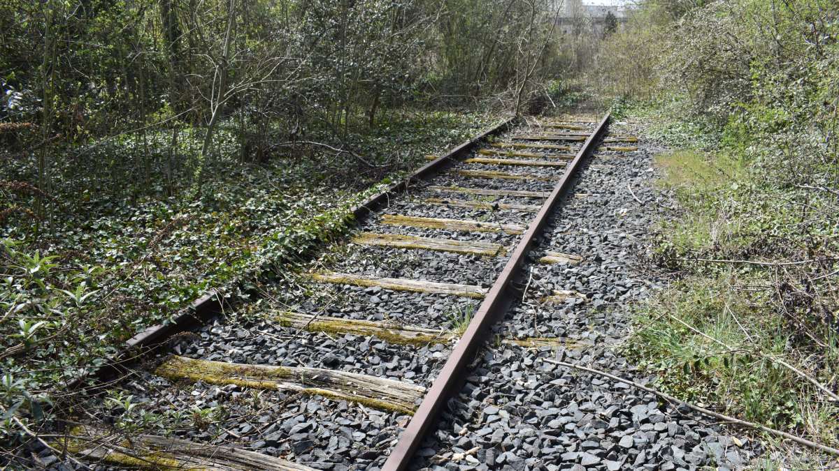 Vue de l'ancienne voie ferrée dans la végétation