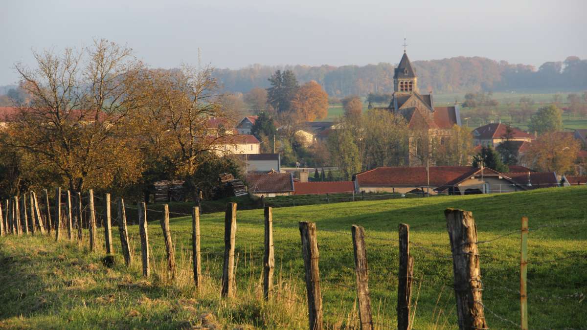 Village de Vaubecourt, vue depuis la campagne (clocher, quelques maisons)