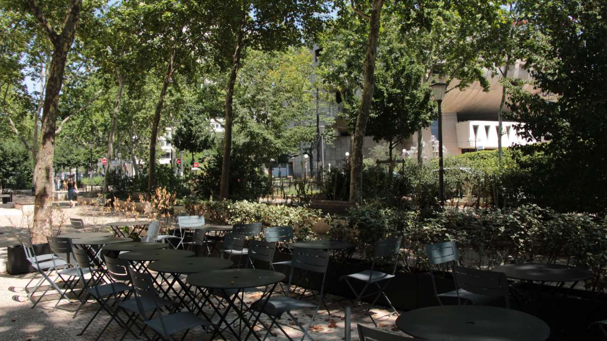 Avenue Garibaldi à Lyon, vue d'une terrasse de café sous les arbres