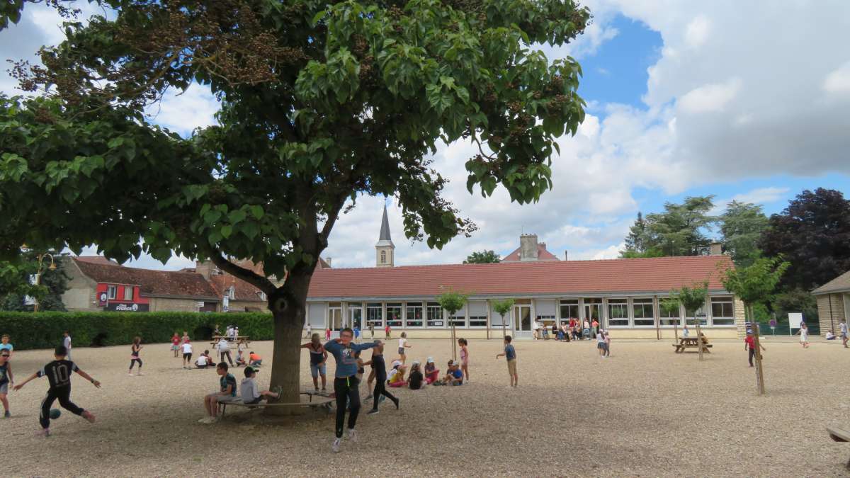 Vue de la cour de l'école, avec un arbre au milieu et des enfants