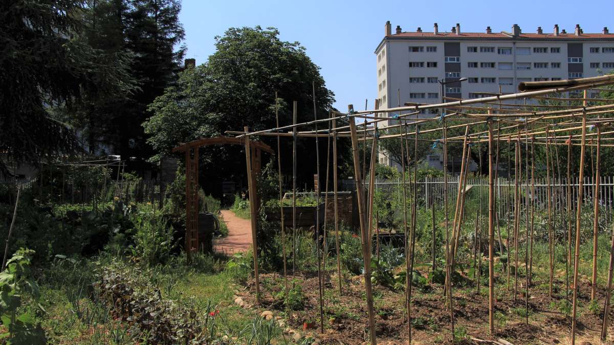 jardin collectif à Lyon