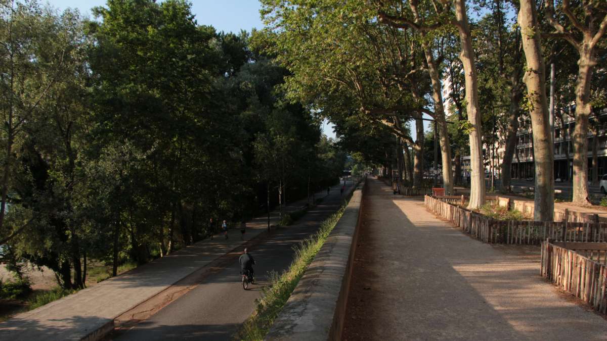 Allée arborée à Lyon