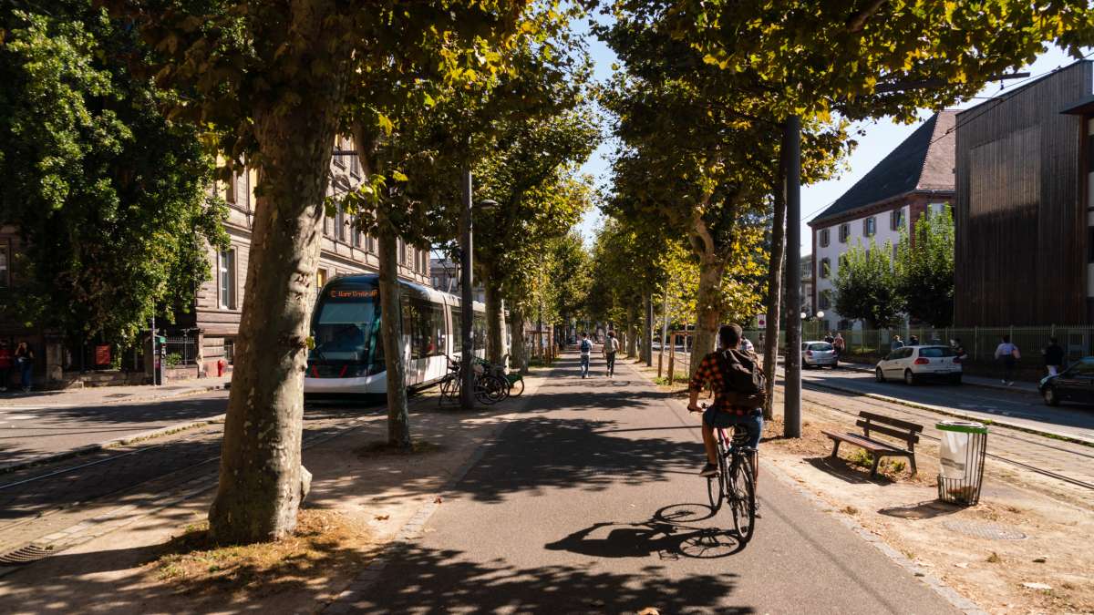 Aménagement cyclable et tram à STrasbourg