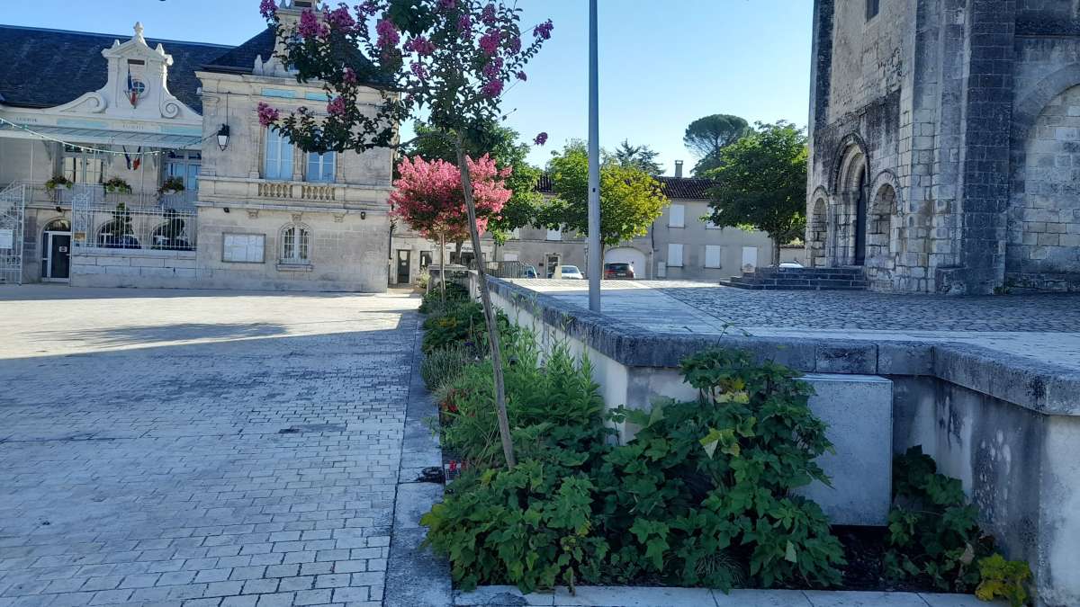 Place de la mairie à Segonzac